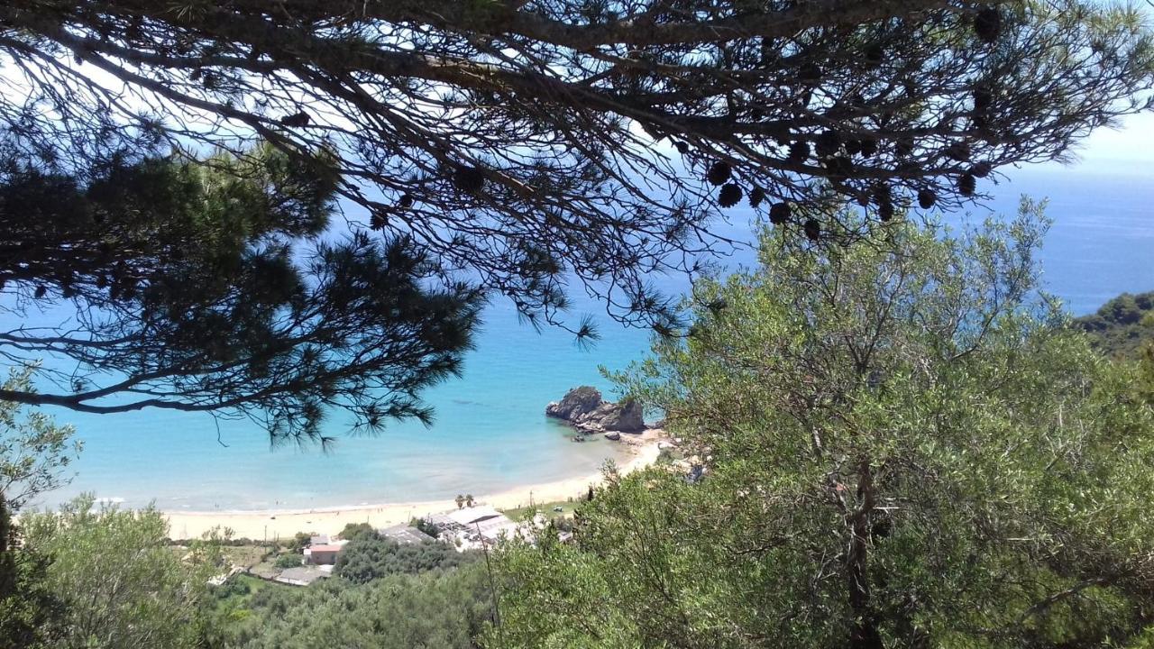 Tolis Aparts Пелекас Экстерьер фото