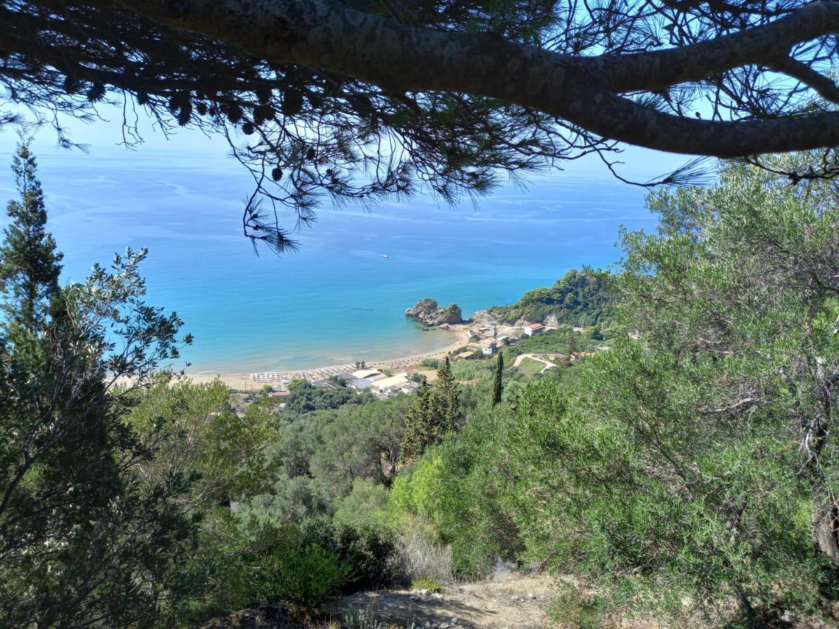 Tolis Aparts Пелекас Экстерьер фото